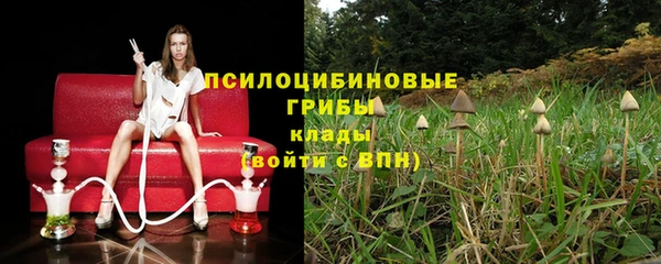 apvp Алексеевка